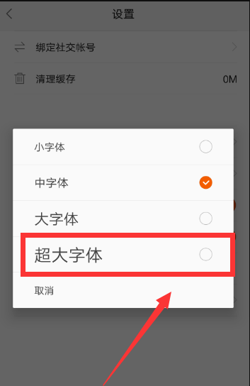 一点资讯如何字体变大(4)