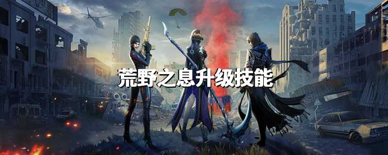 荒野之息升级技能