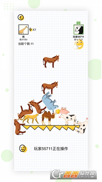 动物搭档最新版