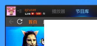 pptv下载与安装