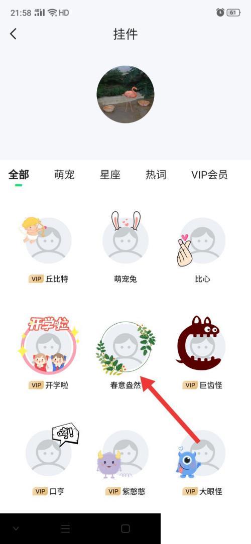 爱奇艺怎么给头像佩戴挂件