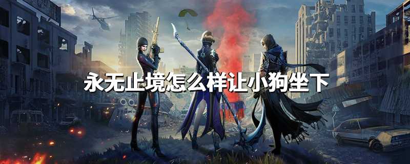 永无止境怎么样让小狗坐下