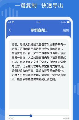 语音转文字精准专家