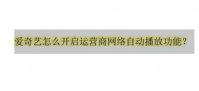 爱奇艺怎么开启运营商网络自动播放功能