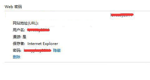 win10浏览器怎么看密码(5)