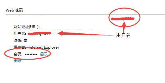 win10浏览器怎么看密码(3)