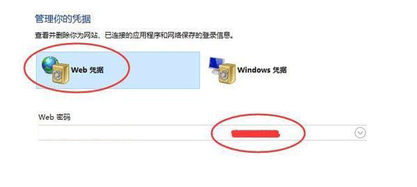 win10浏览器怎么看密码(2)