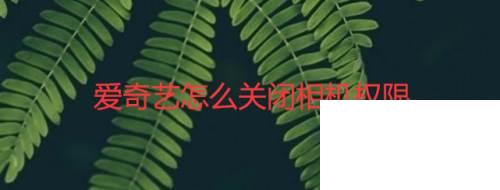 爱奇艺怎么关闭相机权限