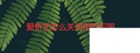爱奇艺怎么关闭相机权限
