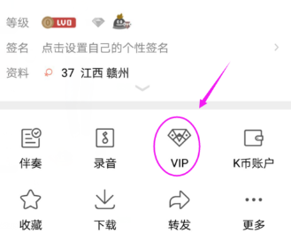 全民k歌vip可以送vip给别人吗 全民K歌怎么赠送vip会员