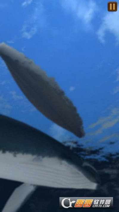 莫比迪克Moby Dick