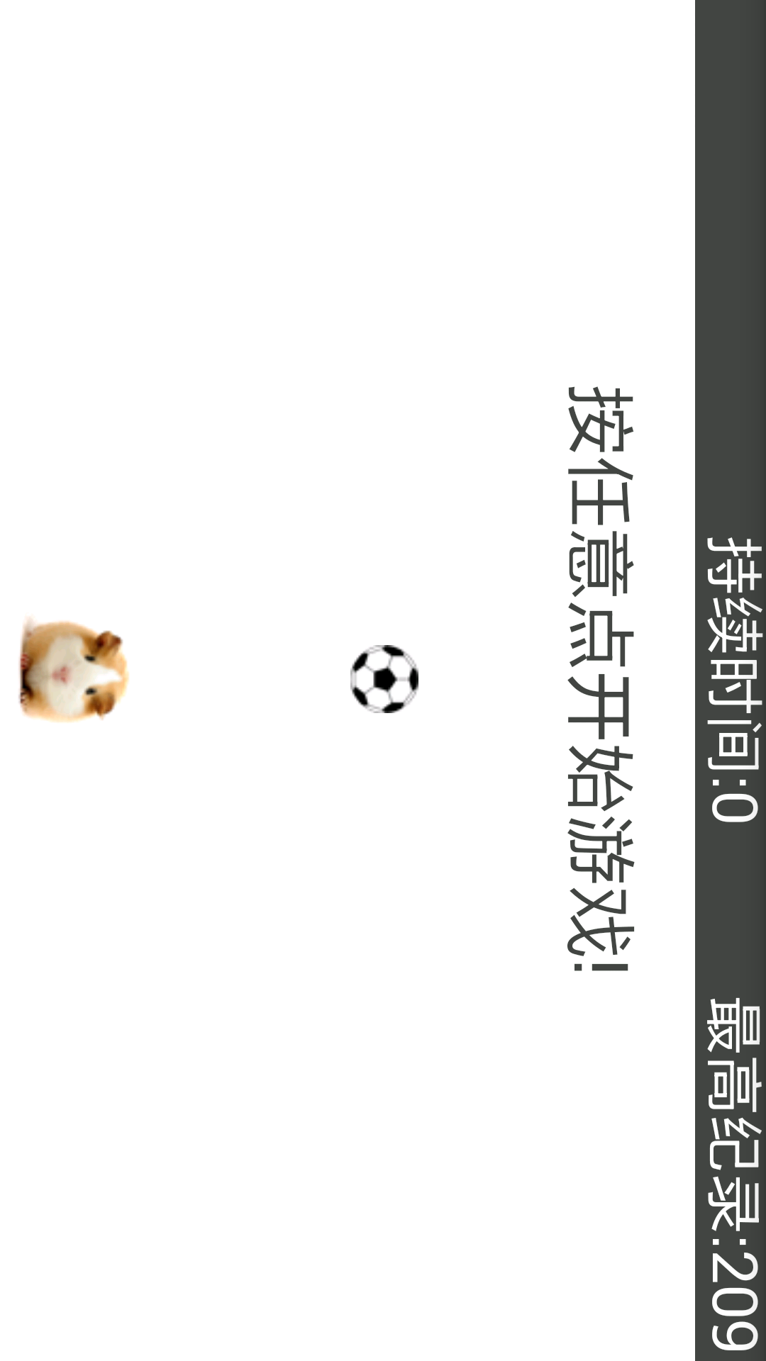 仓鼠快跑