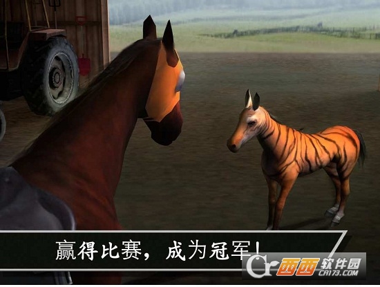 大功告成赢得杯赛挑战Photo Finish中文版
