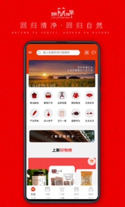 俭简担单