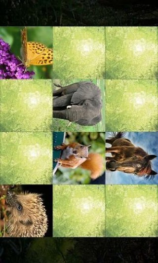 Animals Memo