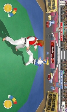 田径3夏季运动