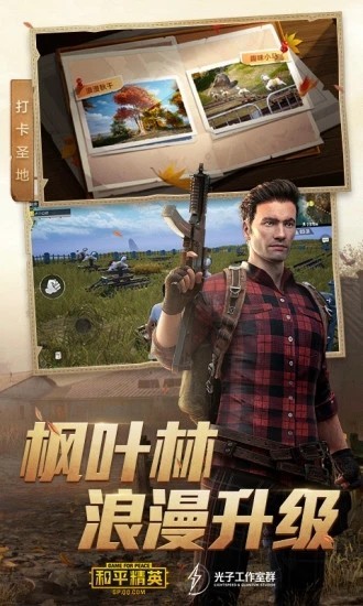 和平精英闪电美化包