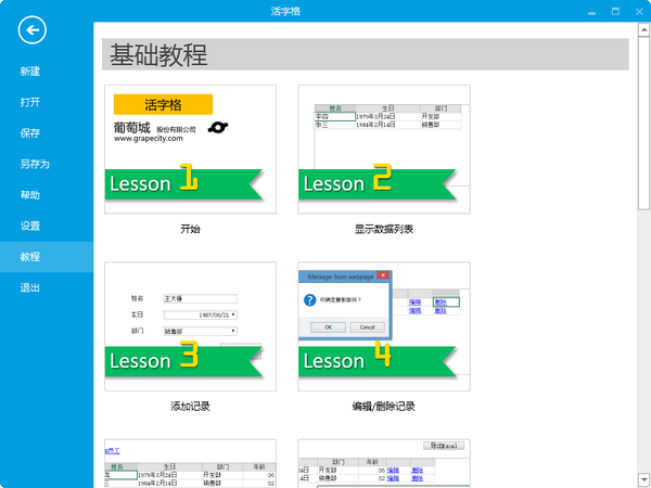 活字格pc版(企业Web应用生成器)