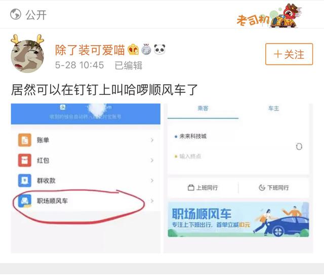 哈罗顺风车入口在哪里 钉钉职场顺风车是哈罗吗