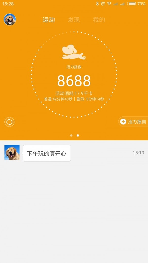 钮扣宠物