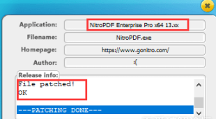 Nitro Pro Enterprise13企业授权