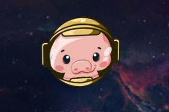 pig币在哪里买 pig币怎么买入和交易