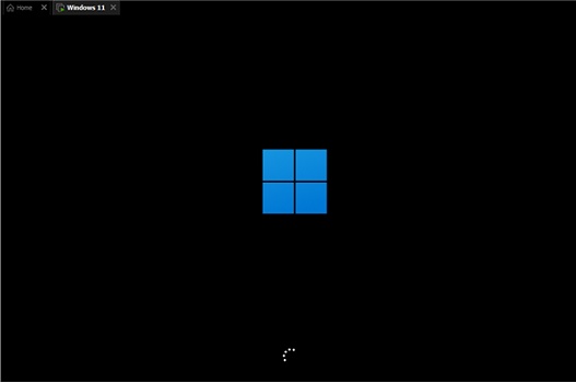 Windows11 X64 Pro 21H2(10.0.22000.51)原版ISO V2021(6)