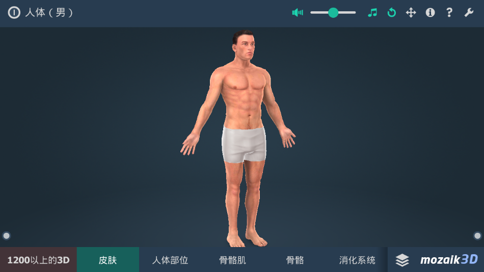 立体全身解剖模拟