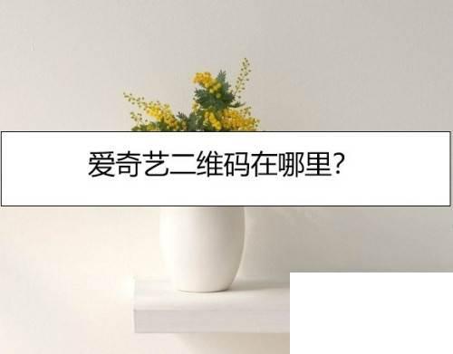 爱奇艺二维码在哪里