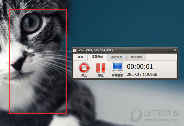 oCam录屏软件电脑版