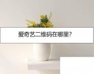 爱奇艺二维码在哪里