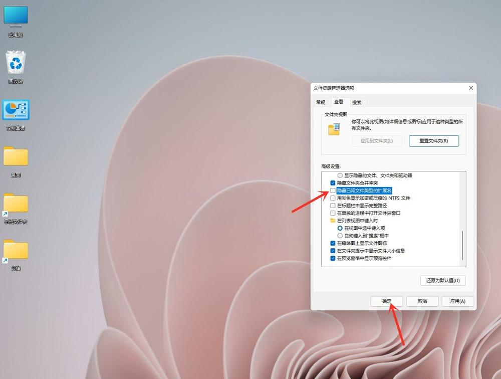 教大家Win11系统如何显示文件后缀名？