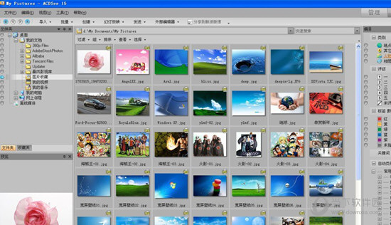 ACDSee15完美