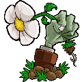植物大战僵尸3D版