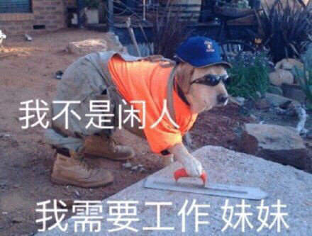 打工人表情包合集