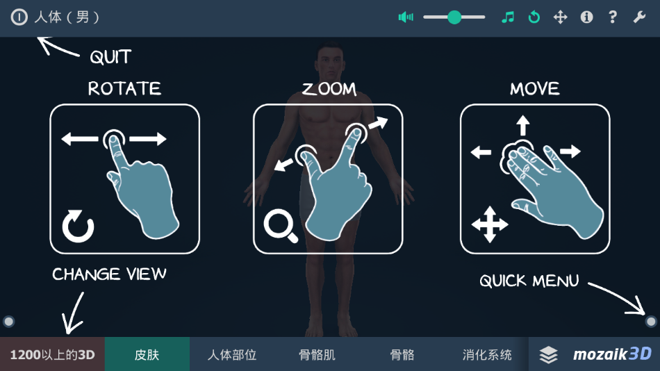 立体全身解剖模拟