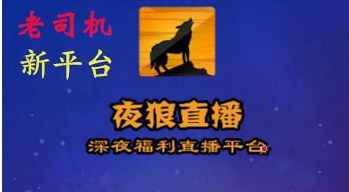 深夜福利直播平台
