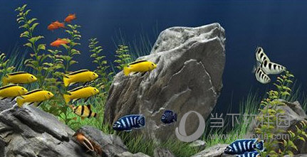 梦幻水族馆动态屏保