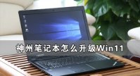 神州笔记本怎么升级Win11 神舟电脑升级Win11详细教程
