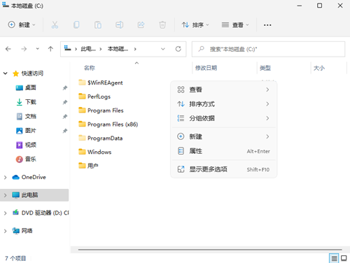教大家Win11系统查看隐藏文件的方法