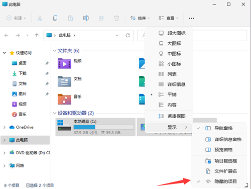 教大家Win11系统查看隐藏文件的方法