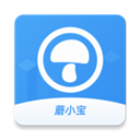 蘑菇伙伴电脑版