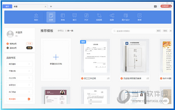 WPS2021政府专业增强版