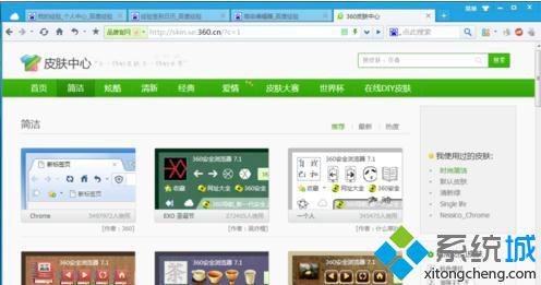 Win7系统360浏览器皮肤(5)