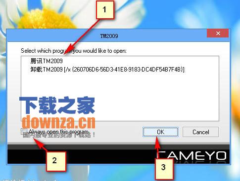TMBeta绿色精简版