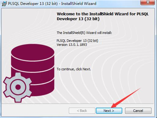 plsql developer14
