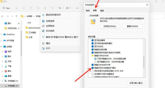 Win11系统如何显示文件后缀名？