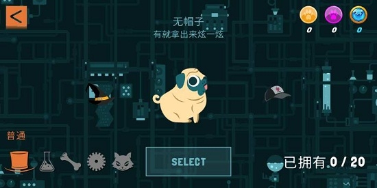 双切巴哥犬Double Pug Switch