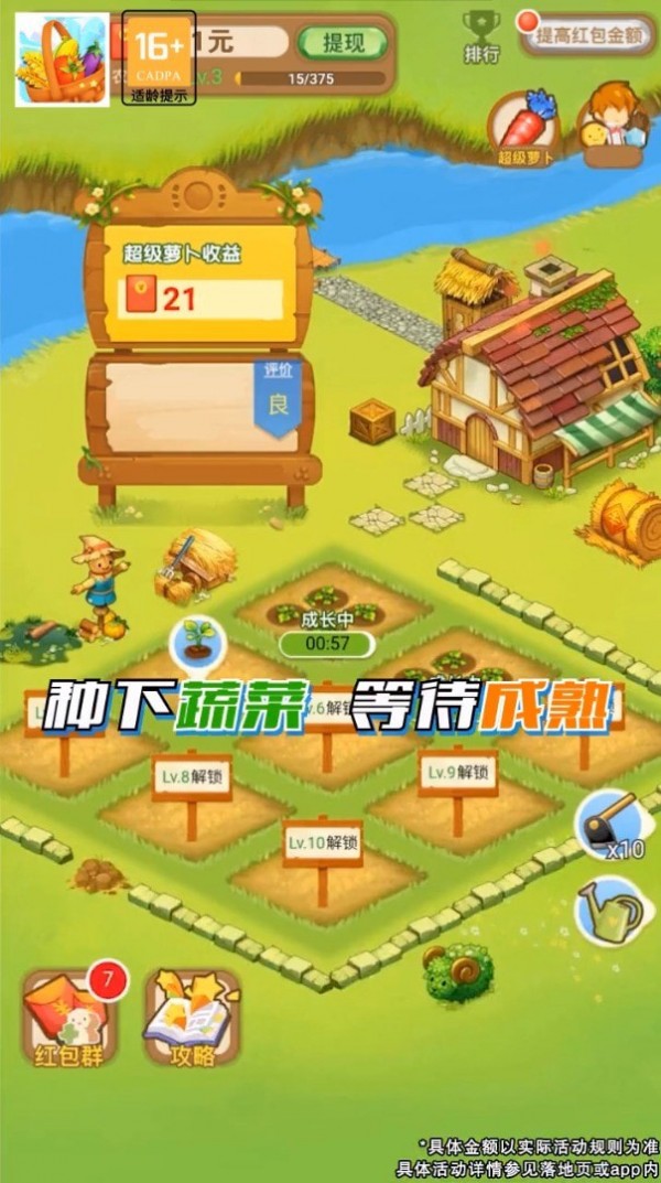 蔬菜大丰收