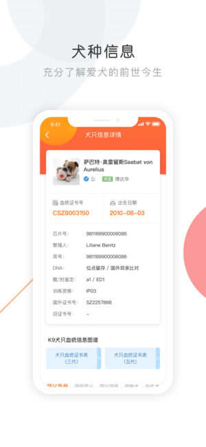 K9犬网